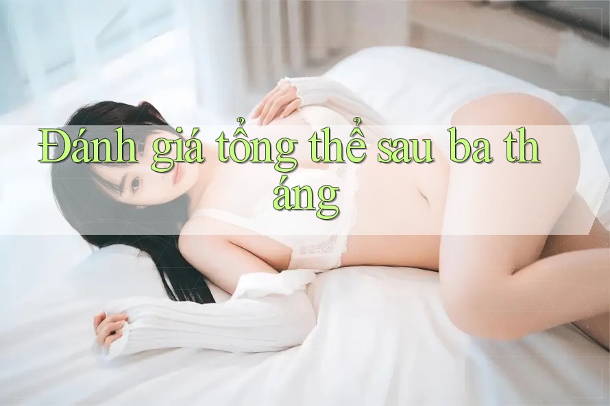 Đánh giá tổng thể sau ba tháng Đánh giá tổng thể sau ba tháng