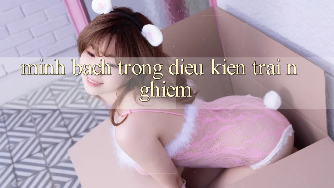 Minh bạch trong điều kiện trải nghiệm Minh bạch trong điều kiện trải nghiệm