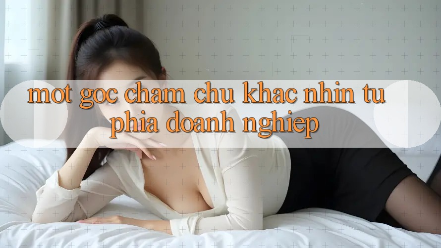 Một Góc Chăm chú Khác: Nhìn Từ Phía Doanh Nghiệp Một Góc Chăm chú Khác: Nhìn Từ Phía Doanh Nghiệp