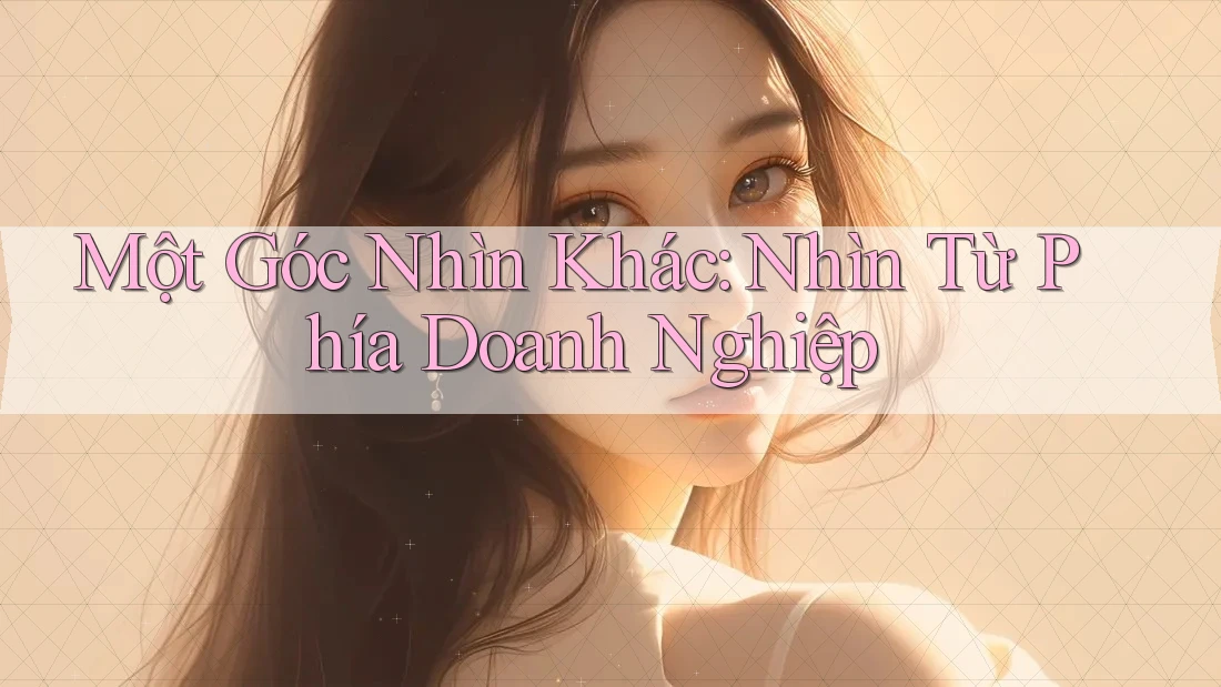 Một Góc Nhìn Khác: Nhìn Từ Phía Doanh Nghiệp
