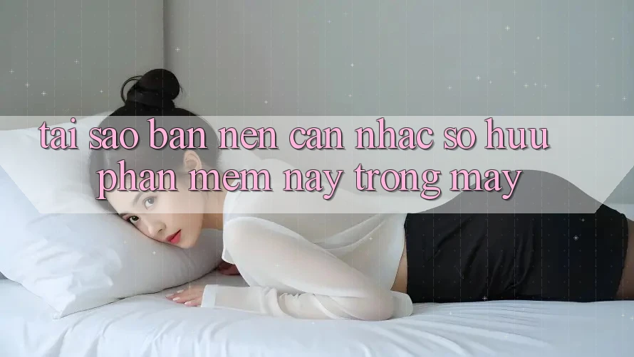Tại sao bạn nên cân nhắc sở hữu phần mềm này trong máy? Tại sao bạn nên cân nhắc sở hữu phần mềm này trong máy?